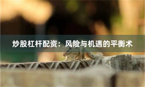 炒股杠杆配资：风险与机遇的平衡术