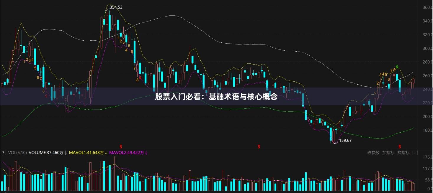 股票入门必看：基础术语与核心概念